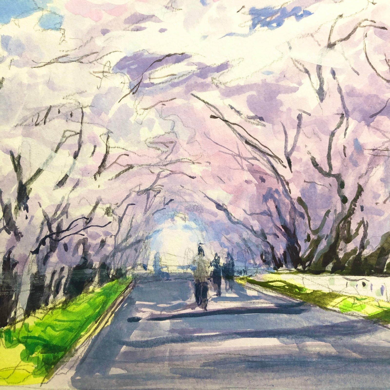 ☆後払い決済OK！ネット限定販売！2025年新作水彩画【新品額付き】桜