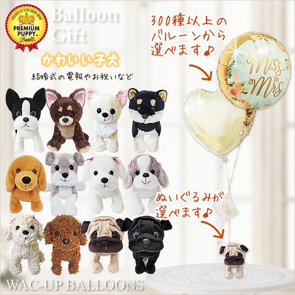 電報 結婚式 柴犬 トイプードル パグ チワワ シュナウザー ダックス